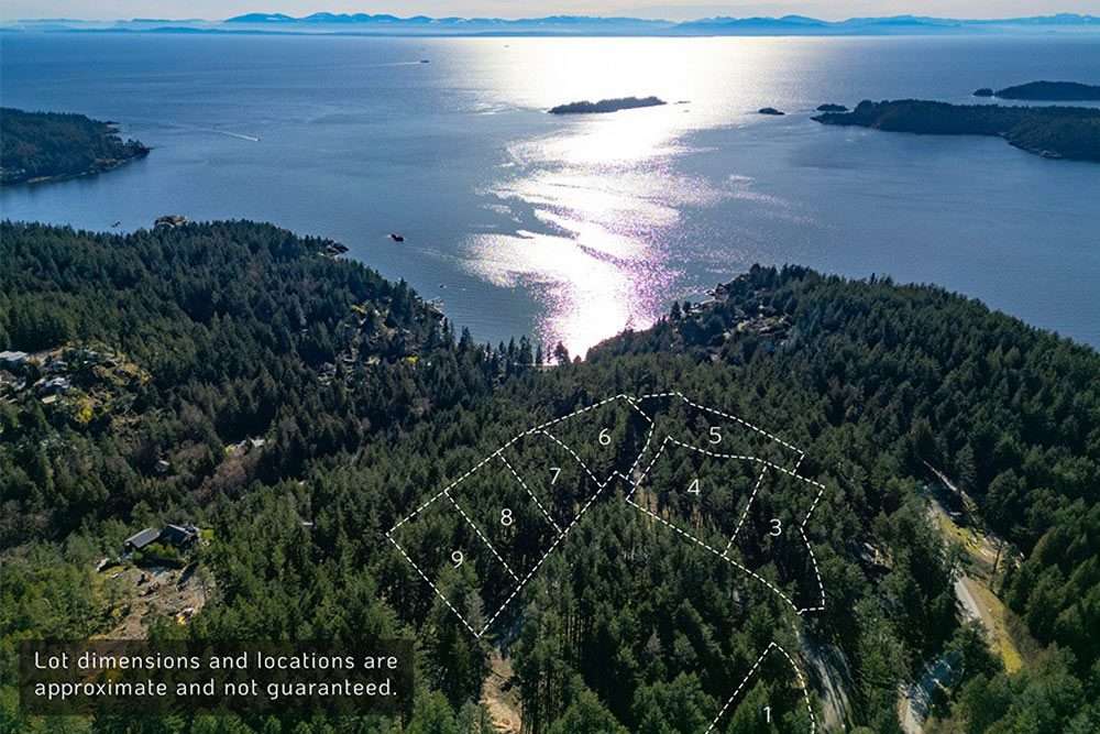 Arbutus Ridge aerial overview